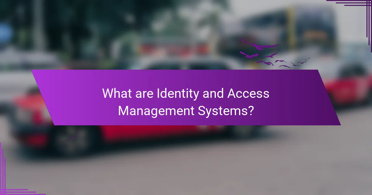 What are Identity and Access Management Systems?