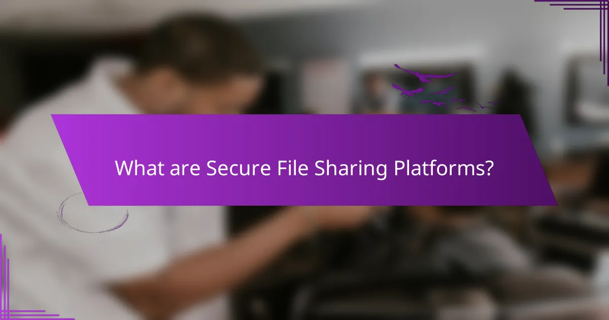 What are Secure File Sharing Platforms?