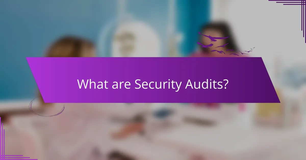 What are Security Audits?