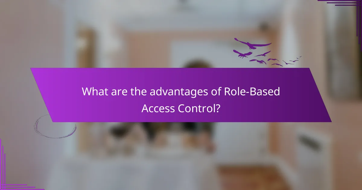 What are the advantages of Role-Based Access Control?
