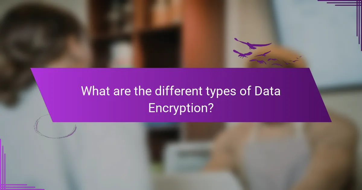 What are the different types of Data Encryption?