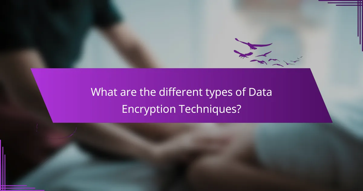 What are the different types of Data Encryption Techniques?