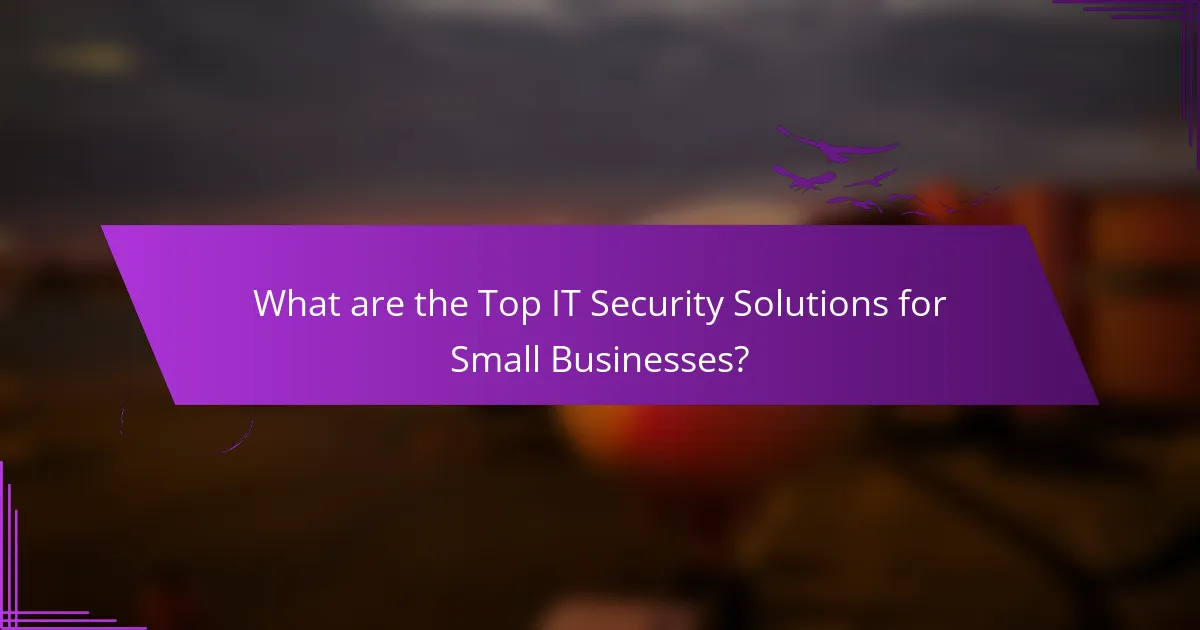 What are the Top IT Security Solutions for Small Businesses?