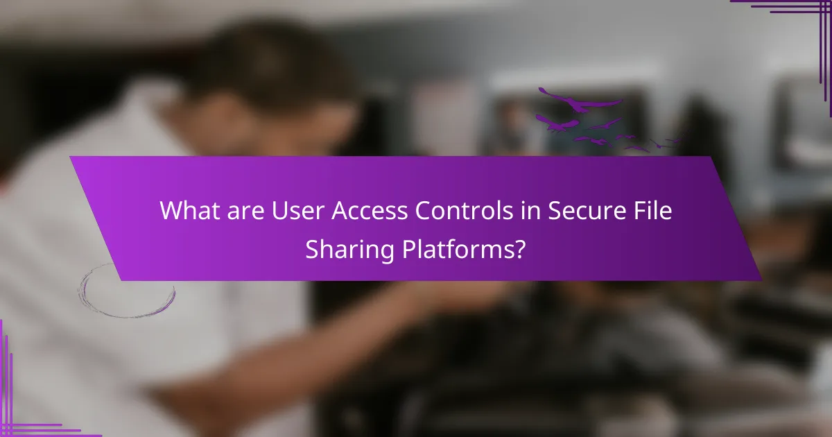 What are User Access Controls in Secure File Sharing Platforms?