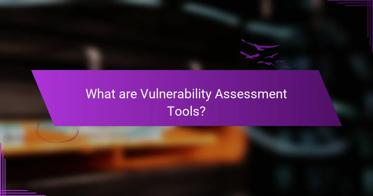 What are Vulnerability Assessment Tools?