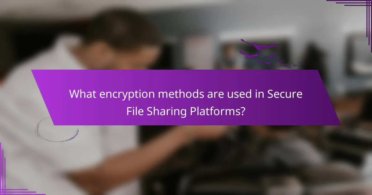 What encryption methods are used in Secure File Sharing Platforms?